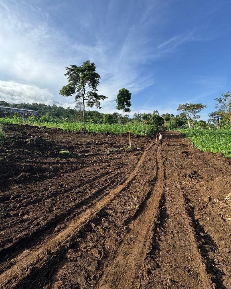 Land investment opportunities