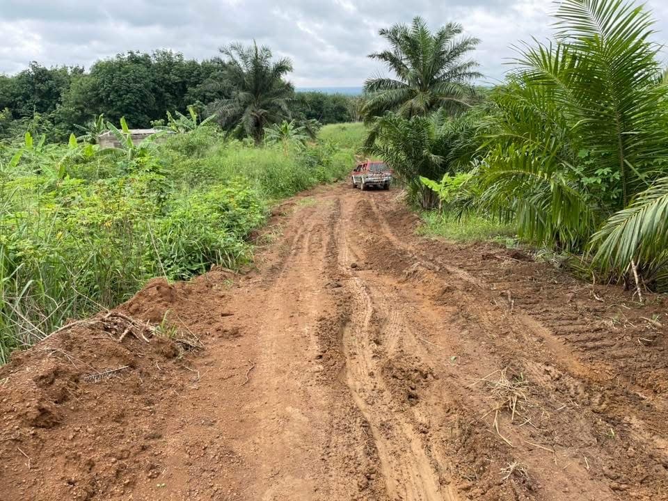 Plots of Land along the Tiko-Douala Road
