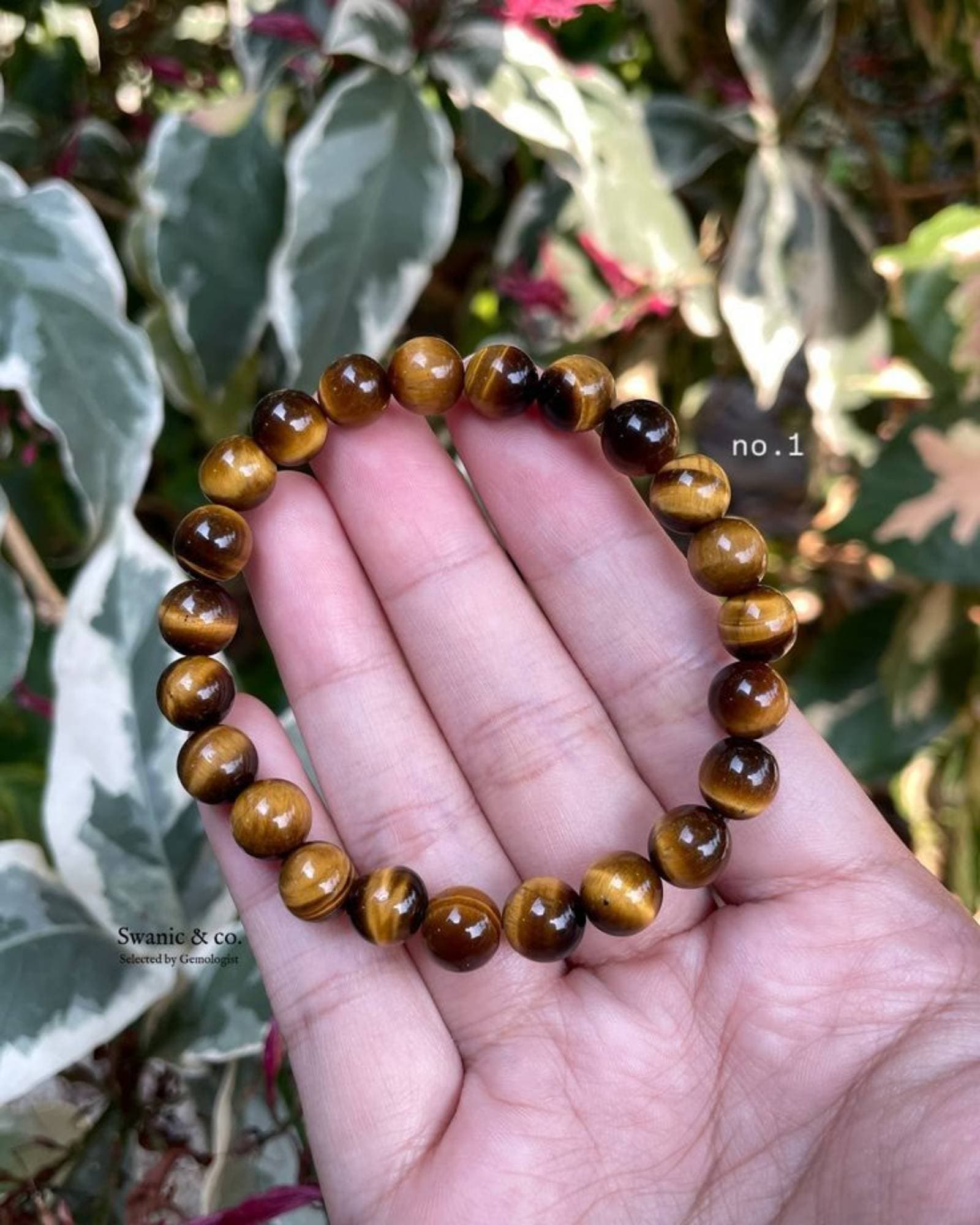 Wealth bracelets
