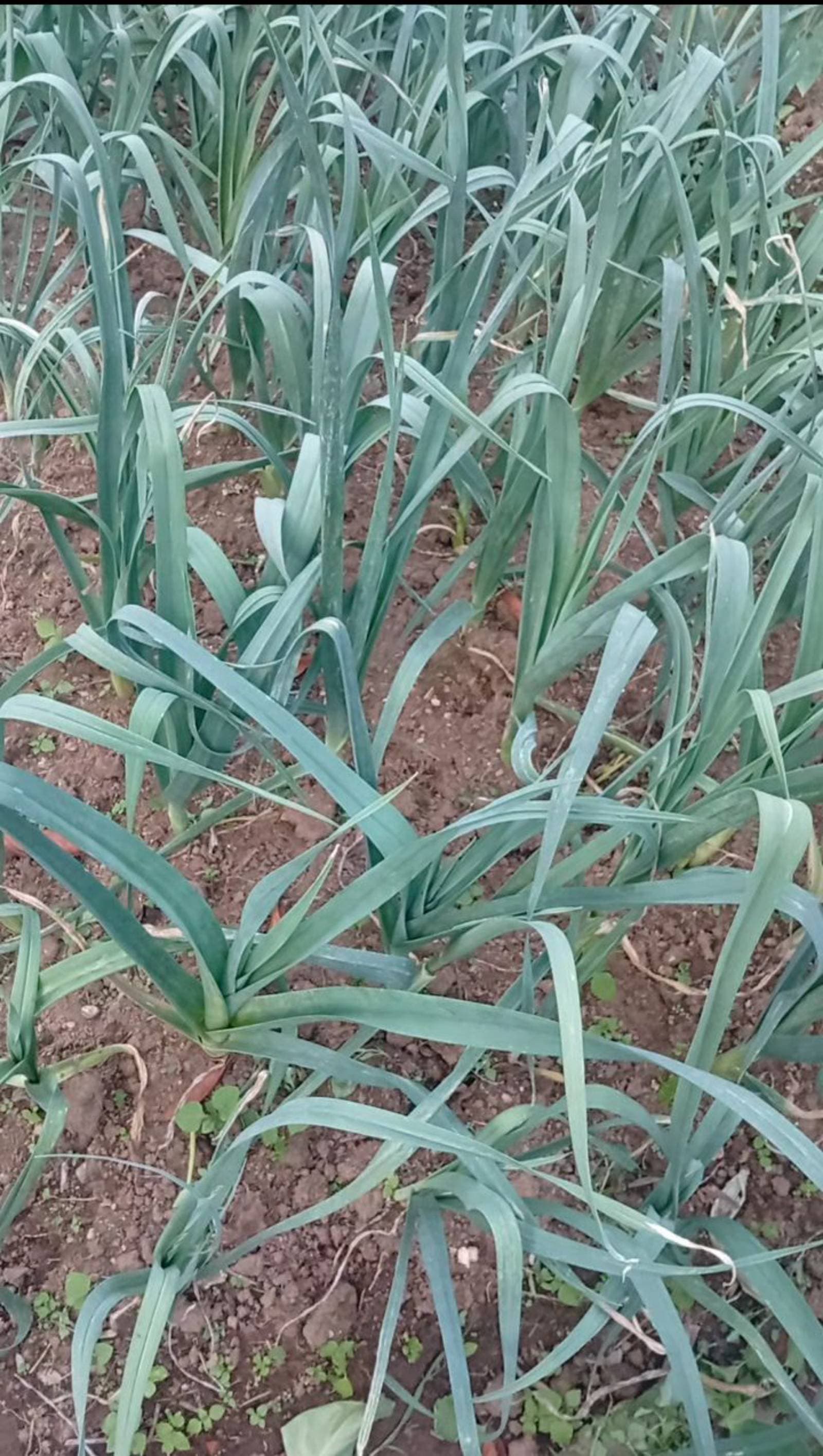 Farm products