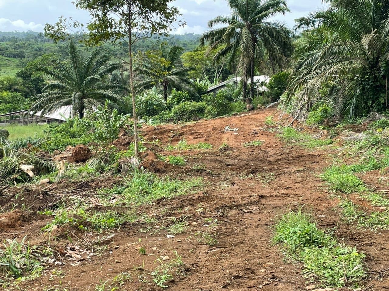 Plot of land at Sandpit Buea