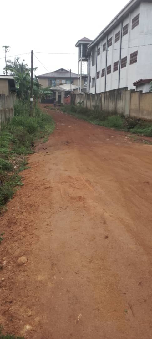 A land for sale kn Bamenda
