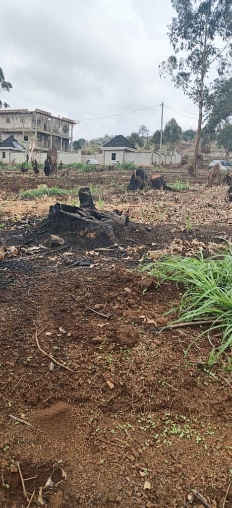 land for sale around Bangshie Quarter Carrefour in Mendankwe Upstation Bamenda.
