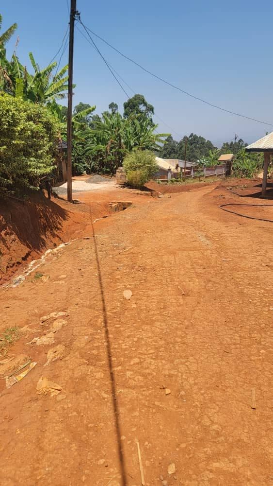 Land for sale bujong above Cattle market Bamenda.
