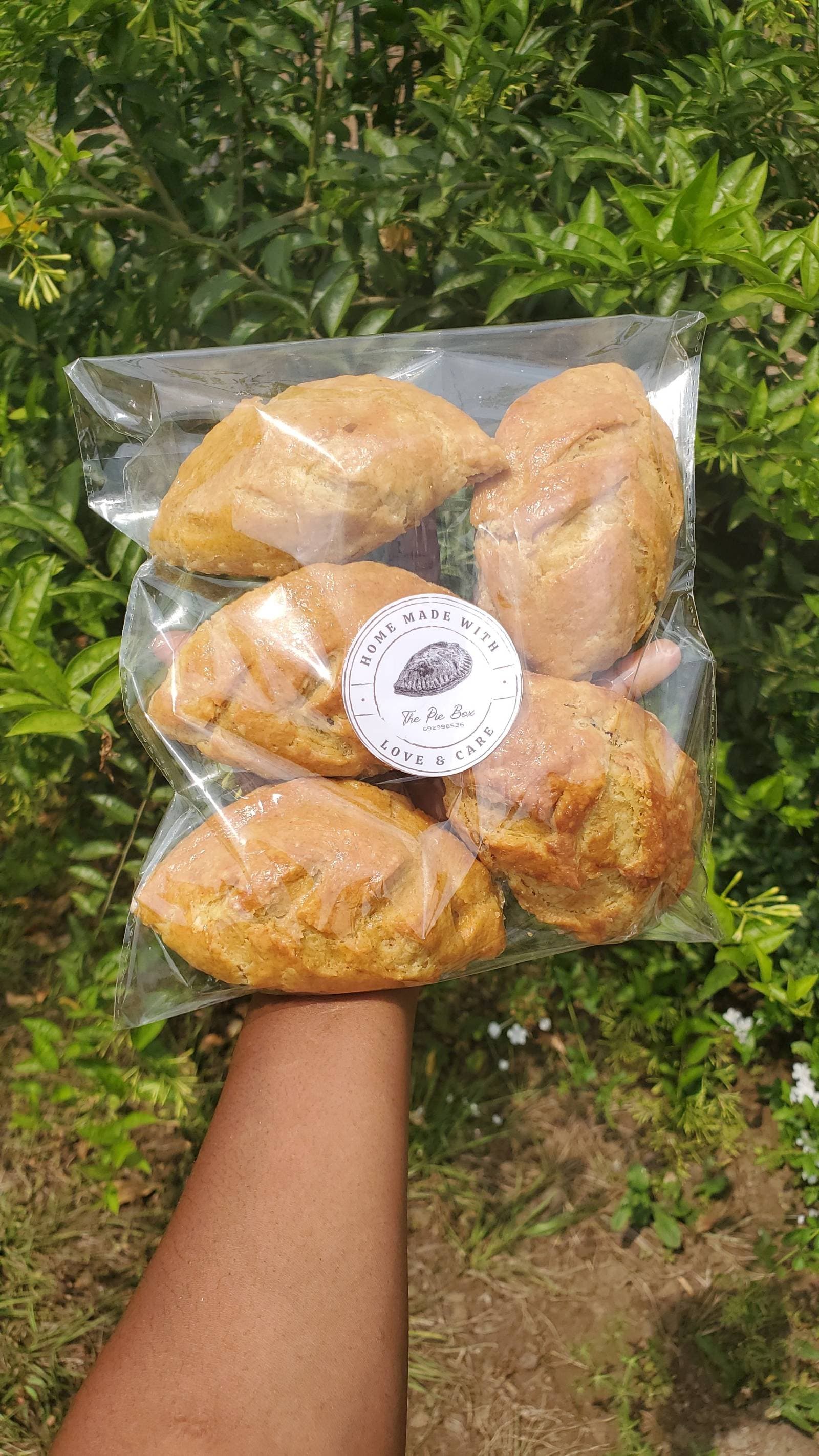 Flaky meatpie